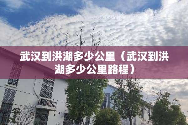 武汉到洪湖多少公里（武汉到洪湖多少公里路程）