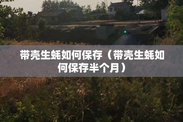 带壳生蚝如何保存（带壳生蚝如何保存半个月）