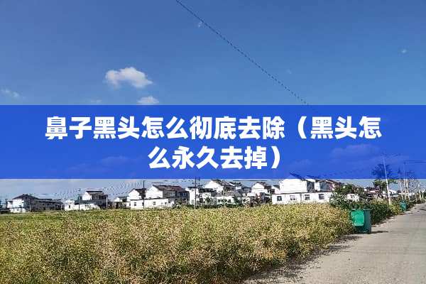 鼻子黑头怎么彻底去除（黑头怎么永久去掉）