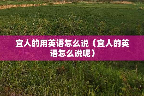 宜人的用英语怎么说（宜人的英语怎么说呢）