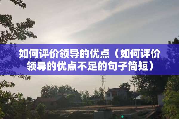 如何评价领导的优点（如何评价领导的优点不足的句子简短）