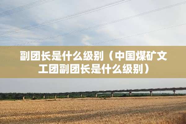 副团长是什么级别（中国煤矿文工团副团长是什么级别）