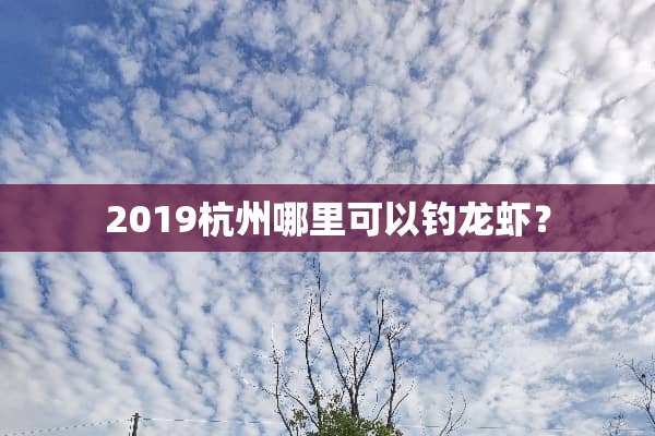 2019杭州哪里可以钓龙虾？