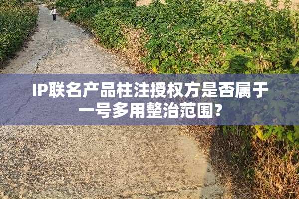 IP联名产品柱注授权方是否属于一号多用整治范围？