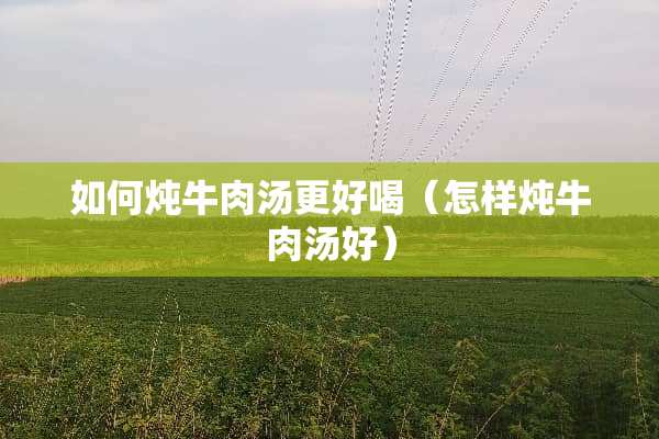 如何炖牛肉汤更好喝（怎样炖牛肉汤好）