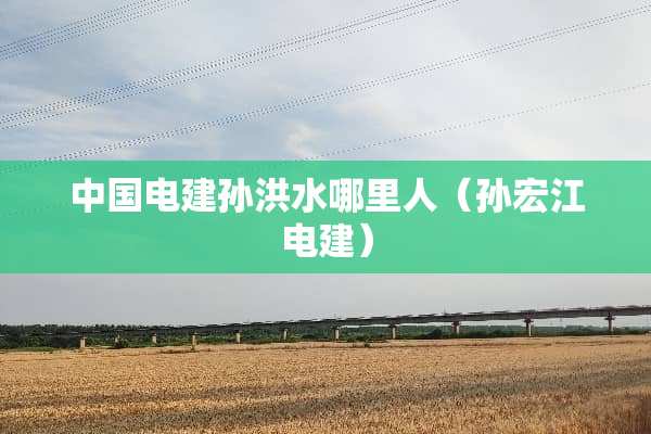 中国电建孙洪水哪里人（孙宏江电建）