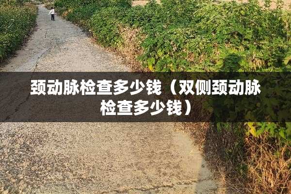 颈动脉检查多少钱（双侧颈动脉检查多少钱）