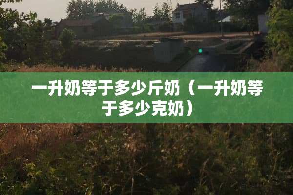 一升奶等于多少斤奶（一升奶等于多少克奶）