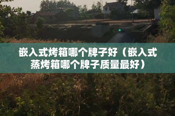 嵌入式烤箱哪个牌子好（嵌入式蒸烤箱哪个牌子质量最好）