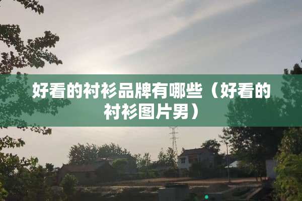 好看的衬衫品牌有哪些（好看的衬衫图片男）