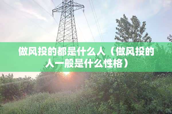 做风投的都是什么人（做风投的人一般是什么性格）