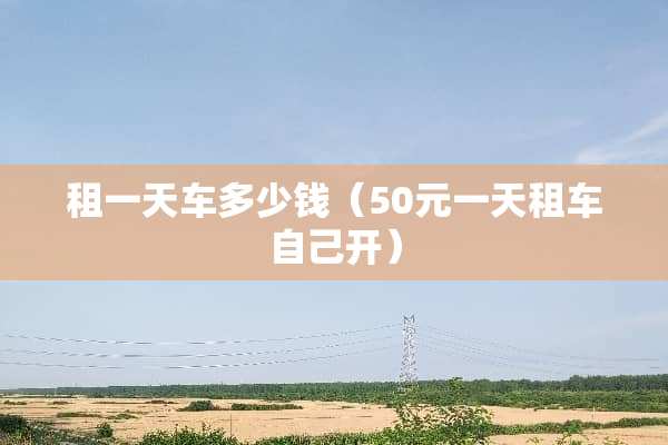 租一天车多少钱（50元一天租车自己开）