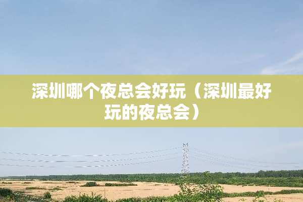 深圳哪个夜总会好玩（深圳最好玩的夜总会）