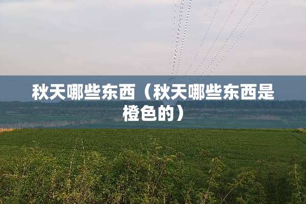 秋天哪些东西（秋天哪些东西是橙色的）