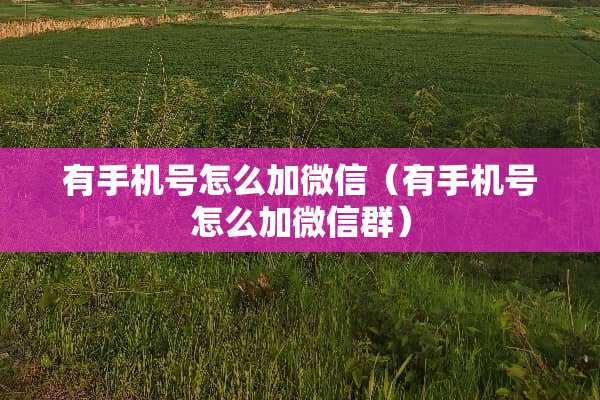有手机号怎么加微信（有手机号怎么加微信群）