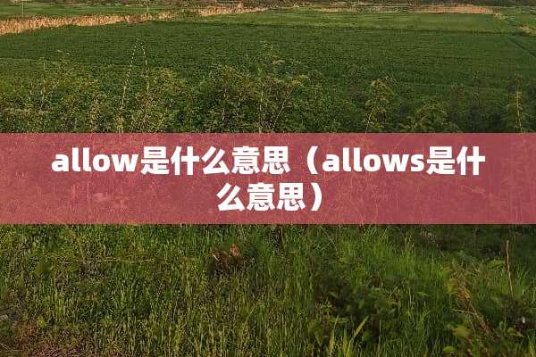 allow是什么意思（allows是什么意思）