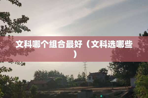 文科哪个组合最好（文科选哪些）