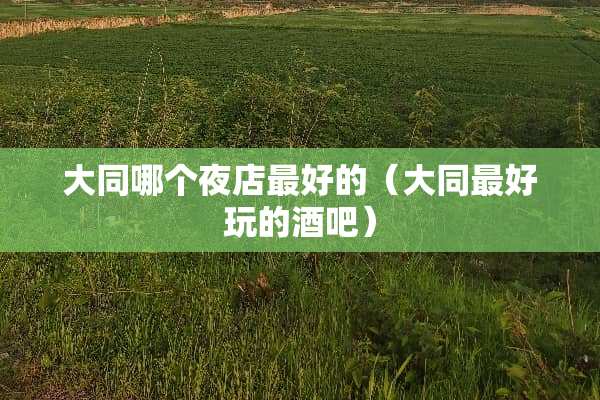 大同哪个夜店最好的（大同最好玩的酒吧）