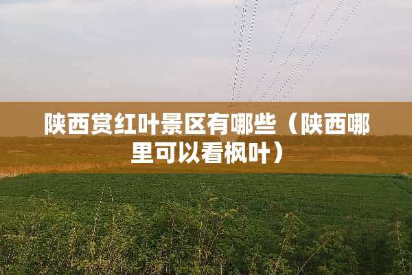 陕西赏红叶景区有哪些（陕西哪里可以看枫叶）