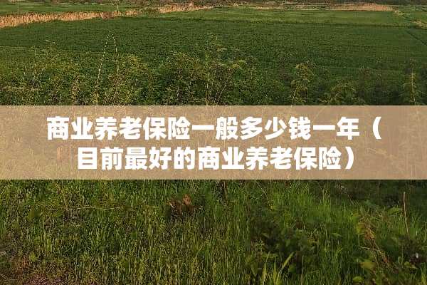 商业养老保险一般多少钱一年（目前最好的商业养老保险）
