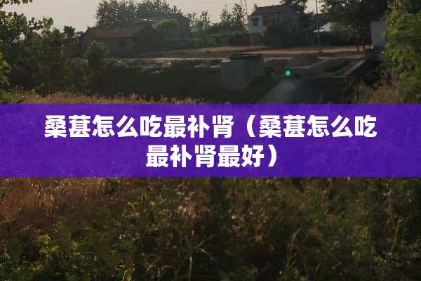 桑葚怎么吃最补肾（桑葚怎么吃最补肾最好）