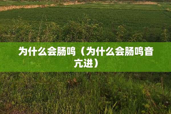 为什么会肠鸣（为什么会肠鸣音亢进）