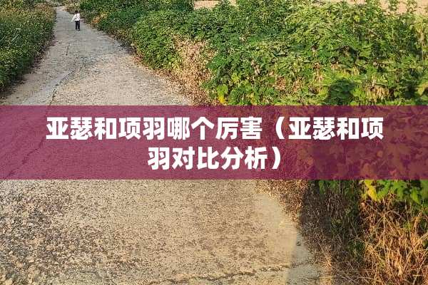 亚瑟和项羽哪个厉害（亚瑟和项羽对**析）