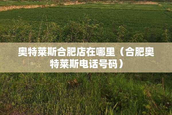 奥特莱斯合肥店在哪里（合肥奥特莱斯电话号码）