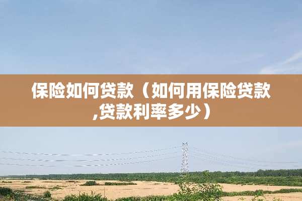 保险如何贷款（如何用保险贷款,贷款利率多少）
