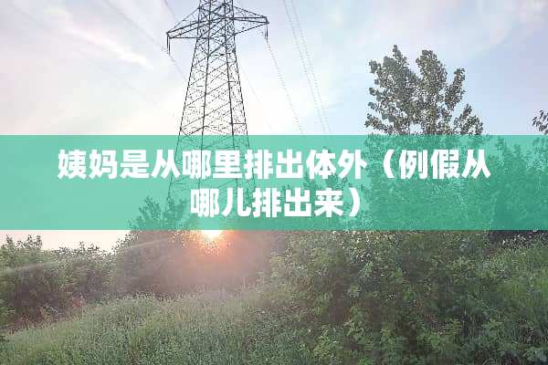 姨妈是从哪里排出体外（例假从哪儿排出来）