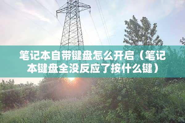 笔记本自带键盘怎么开启（笔记本键盘全没反应了按什么键）