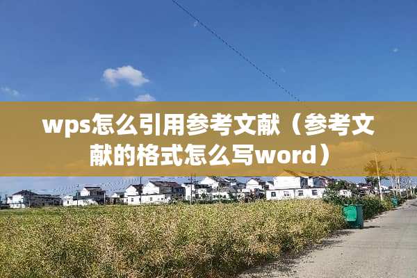 wps怎么引用参考文献（参考文献的格式怎么写word）