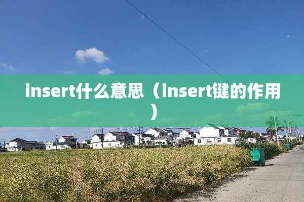 insert什么意思（insert键的作用）