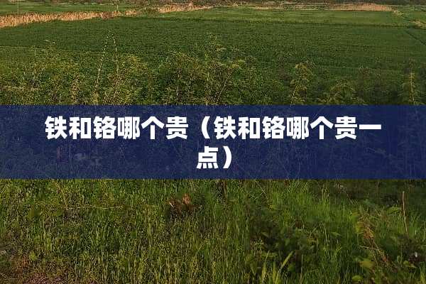 铁和铬哪个贵（铁和铬哪个贵一点）