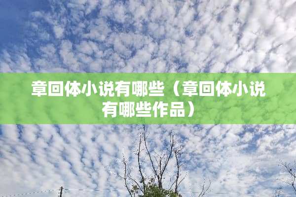 章回体小说有哪些（章回体小说有哪些作品）