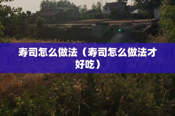 寿司怎么做法（寿司怎么做法才好吃）