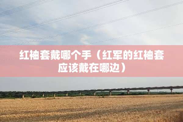红袖套戴哪个手（**的红袖套应该戴在哪边）