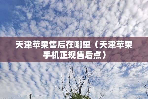 天津苹果售后在哪里（天津苹果手机正规售后点）