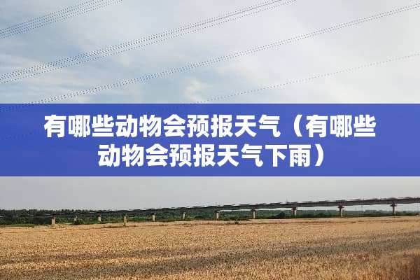 有哪些动物会预报天气（有哪些动物会预报天气下雨）