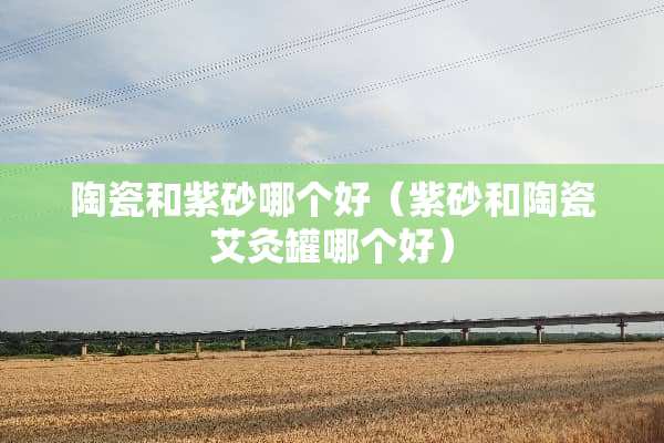 陶瓷和紫砂哪个好（紫砂和陶瓷艾灸罐哪个好）
