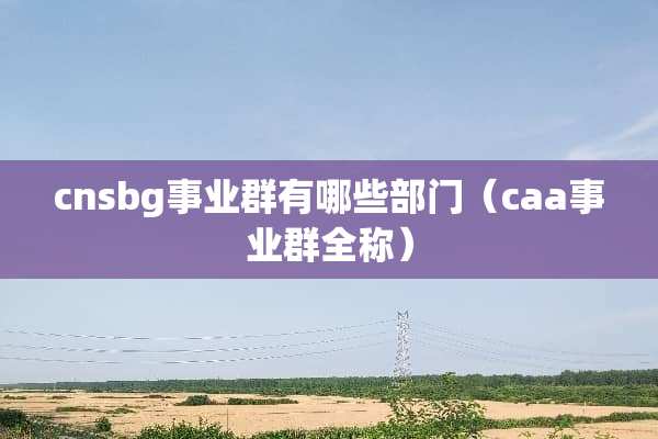 cnsbg事业群有哪些部门（caa事业群全称）