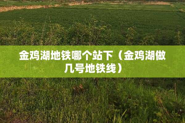 金鸡湖地铁哪个站下（金鸡湖做几号地铁线）