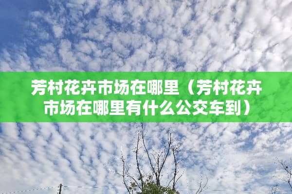 芳村花卉市场在哪里（芳村花卉市场在哪里有什么公交车到）