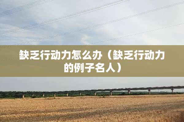 缺乏行动力怎么办（缺乏行动力的例子名人）