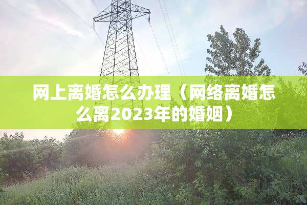 网上**怎么办理（网络**怎么离2023年的婚姻）