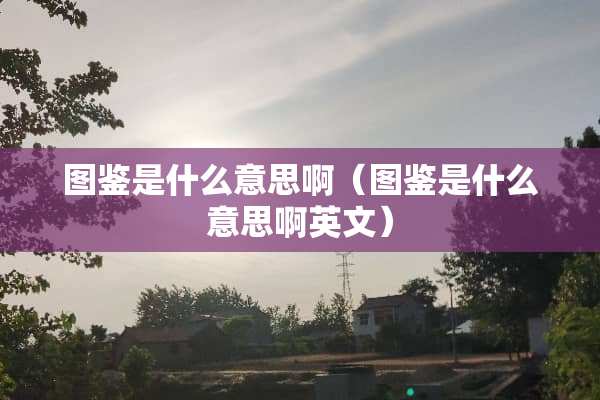 图鉴是什么意思啊（图鉴是什么意思啊英文）