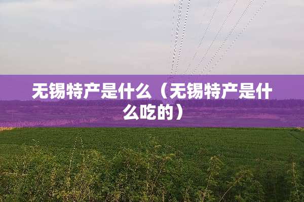 无锡特产是什么（无锡特产是什么吃的）