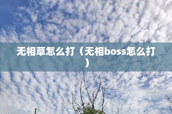 无相草怎么打（无相boss怎么打）