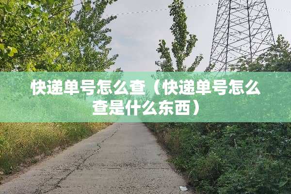 快递单号怎么查（快递单号怎么查是什么东西）