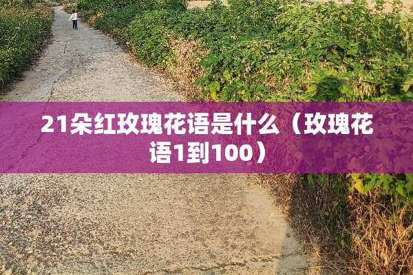 21朵红玫瑰花语是什么（玫瑰花语1到100）